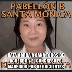 Meme Personalizado Rata Gorda A Cana Todos De Acuerdo Y El Congreso