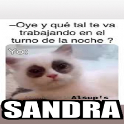 Meme Personalizado Sandra 33241515