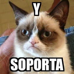 Meme Grumpy Cat Y Soporta 33245372