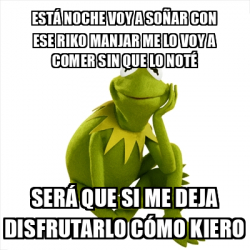 Meme Kermit the frog Está noche voy a soñar con ese Riko manjar me lo