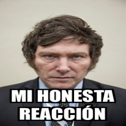 Meme Personalizado Mi Honesta Reacci N