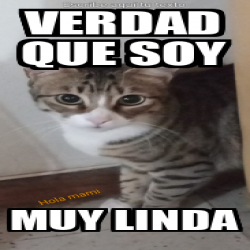 Meme Personalizado Verdad Que Soy Muy Linda 33259270