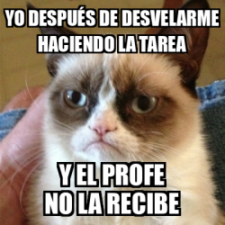 Meme Grumpy Cat Yo Despu S De Desvelarme Haciendo La Tarea Y El Profe