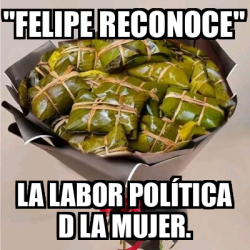 Meme Personalizado FELIPE RECONOCE LA LABOR POLÍTICA D LA MUJER