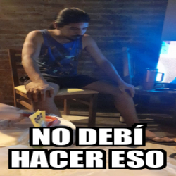 Meme Personalizado No debí hacer eso 33293523