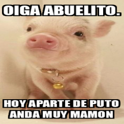 Meme Personalizado Oiga Abuelito Hoy Aparte De Puto Anda Muy Mamon