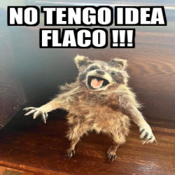 Meme Personalizado No Tengo Idea Flaco