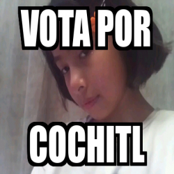 Meme Personalizado Vota Por Cochitl