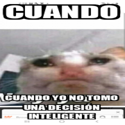 Meme Personalizado Cuando Cuando yo no tomo una decisión inteligente