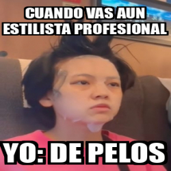 Meme Personalizado Cuando Vas Aun Estilista Profesional Yo De Pelos