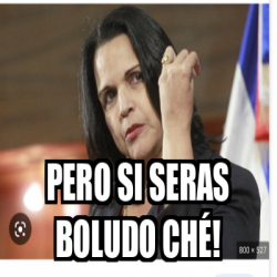 Meme Personalizado Pero si seras boludo ché 33056530