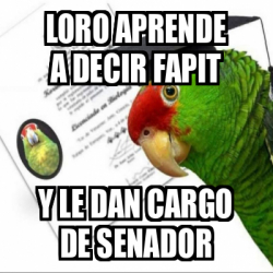 Meme Personalizado Loro Aprende A Decir Fapit Y Le Dan Cargo De