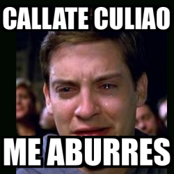 Meme Crying Peter Parker CALLATE CULIAO ME ABURRES 33065249