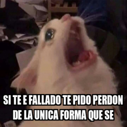 Meme Personalizado Si Te E Fallado Te Pido Perdon De La Unica Forma