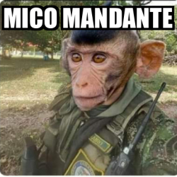 Meme Personalizado Mico Mandante 33075856