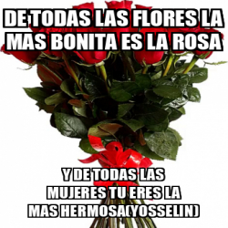 Meme Personalizado De Todas Las Flores La Mas Bonita Es La Rosa Y De