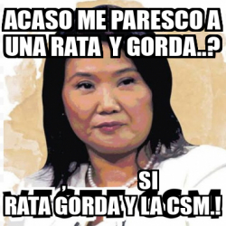 Meme Personalizado Acaso Me Paresco A Una Rata Y Gorda Si Rata