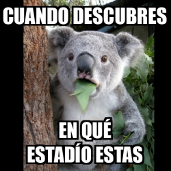 Meme Koala Cuando Descubres En Qu Estad O Estas