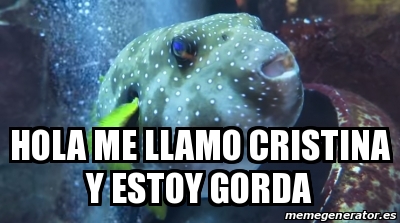 Meme Personalizado - HOLA ME LLAMO CRISTINA Y ESTOY GORDA - 14783653