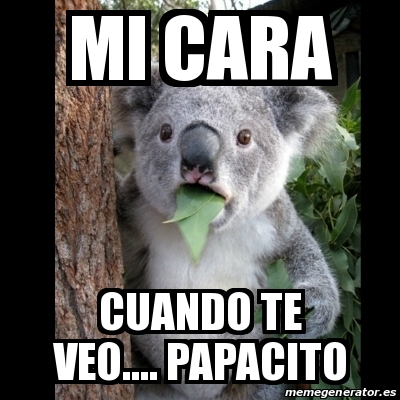 Meme Koala Mi Cara Cuando Te Veo Papacito 21840775
