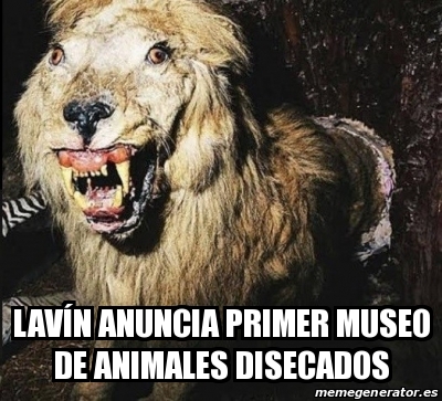 Meme Personalizado - LavÃn anuncia primer museo de animales disecados -  30839145