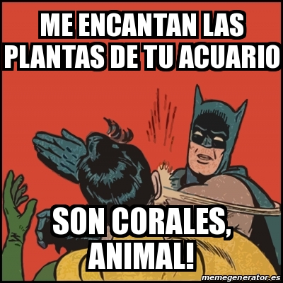 Meme Batman slaps Robin - Me encantan las plantas de tu acuario Son  corales, animal! - 30884262
