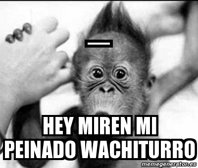 Meme Personalizado - _ hey miren mi peinado wachiturro - 438836
