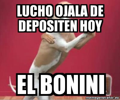 Meme Personalizado LUCHO OJALA DE DEPOSITEN HOY EL BONINI 244064