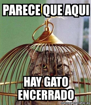 Meme Personalizado Parece Que Aqui Hay Gato Encerrado