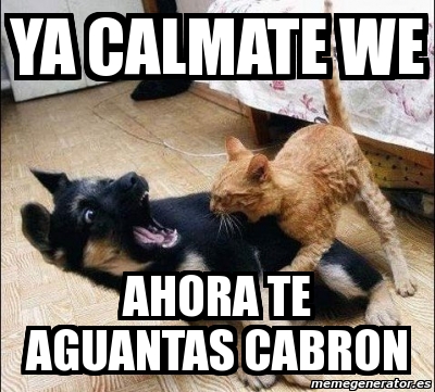 Meme Personalizado - Ya calmate We Ahora te aguaNTAs cABRON - 853215