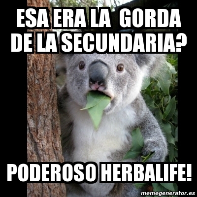 Meme Koala - Esa era la gorda de la secundaria? poderoso ...