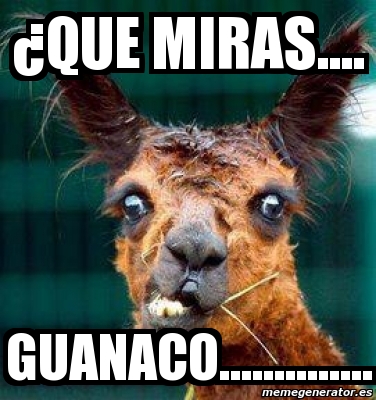 Meme Personalizado - Â¿que miras.... guanaco.............. - 1238925