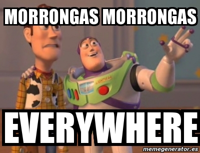Meme Personalizado - morrongas morrongas everywhere - 1402566