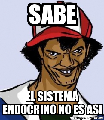 Meme Personalizado Sabe El Sistema Endocrino No Es Asi