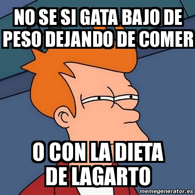 la dieta del lagarto meme la dieta del lagarto meme
