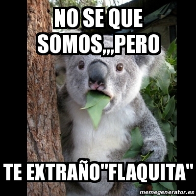 Meme Koala - no se que somos,,,pero te extraÃ±o