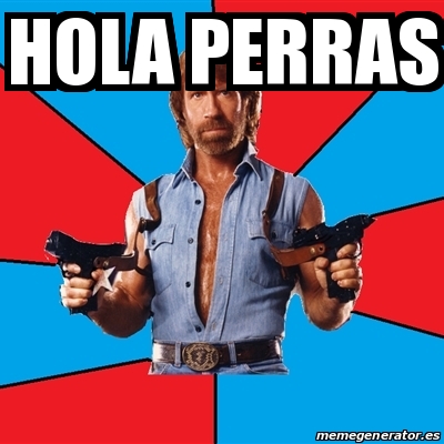 Meme Chuck Norris - hola perras - 14025332