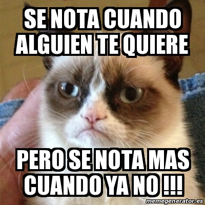 Meme Grumpy Cat Se Nota Cuando Alguien Te Quiere Pero Se Nota Mas Cuando Ya No