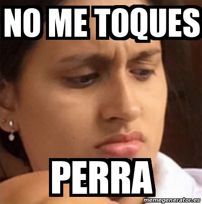 Meme Personalizado - No me toques perra - 15042304