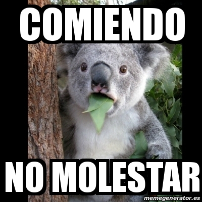 Meme Koala - comiendo no molestar - 16615245