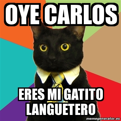 Meme Business Cat - oye carlos eres mi gatito languetero - 16750395