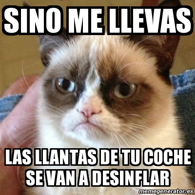 Maine Coon Cat Calcomanía De Vinilo Coche, Laptop, Vas... | Cuotas Sin Interés