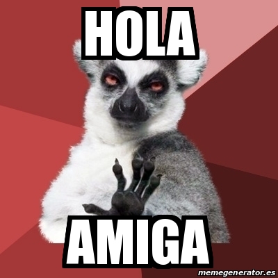Meme Chill Out Lemur - Hola Amiga - 17939871