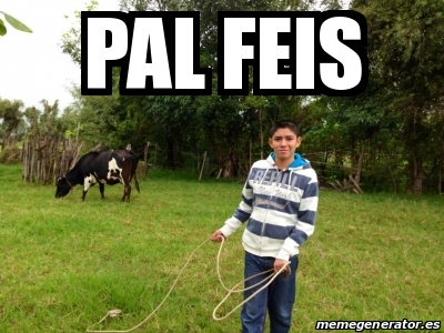 Meme Personalizado - Pal feis - 18102507