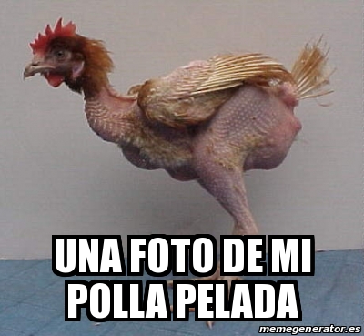 Meme Personalizado - una foto de mi polla pelada - 18028798