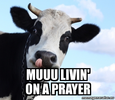 Meme Personalizado - muuu livin' on a prayer - 18285035