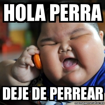 Meme fat chinese kid - hola perra deje de perrear - 18890129