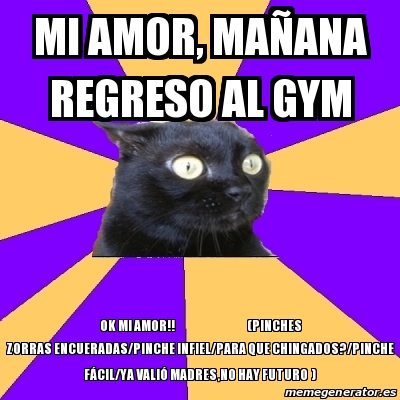 Meme Anxiety Cat Mi amor maÃana regreso al Gym OK Mi amor pinches zorras encueradas