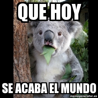 Meme Koala Que Hoy Se Acaba El Mundo 2150207