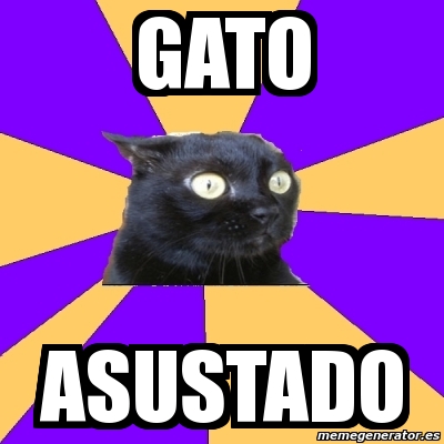 Meme Anxiety Cat - GATO ASUSTADO - 2185888.